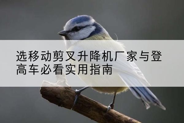 临猗电动升降机厂家-选移动剪叉升降机厂家与登高车必看实用指南