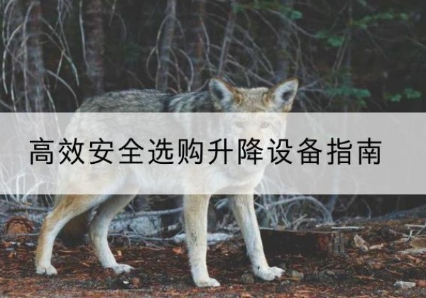 临猗升降货梯厂家推荐-*安全选购升降设备指南