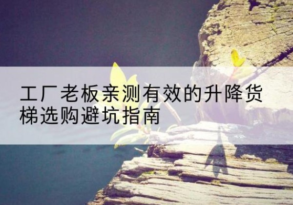 临猗升降货梯怎么选-工厂老板亲测有效的升降货梯选购避坑指南